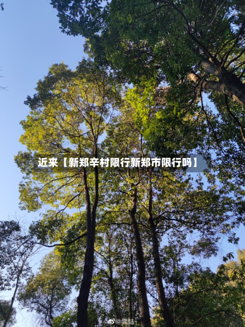 近来【新郑辛村限行新郑市限行吗】-第3张图片