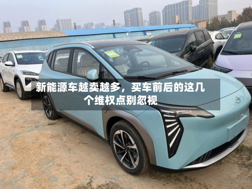 新能源车越卖越多	，买车前后的这几个维权点别忽视-第2张图片