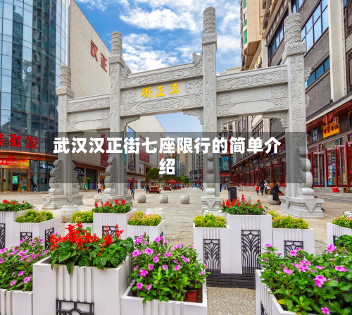 武汉汉正街七座限行的简单介绍-第3张图片