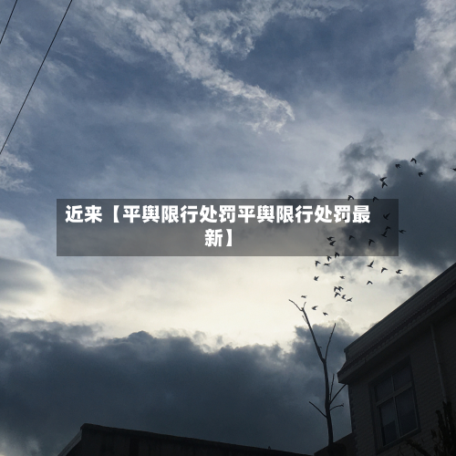 近来【平舆限行处罚平舆限行处罚最新】-第1张图片