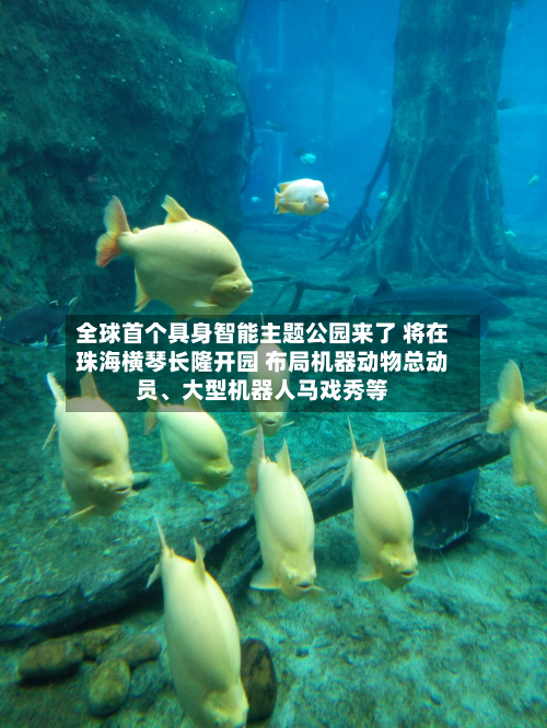 全球首个具身智能主题公园来了 将在珠海横琴长隆开园 布局机器动物总动员	、大型机器人马戏秀等-第1张图片