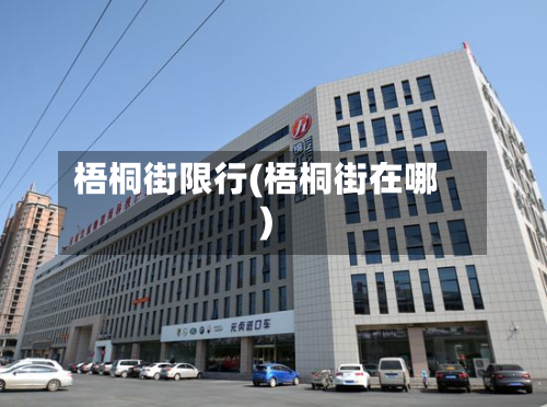 梧桐街限行(梧桐街在哪)-第3张图片