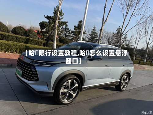 【哈啰限行设置教程,哈啰怎么设置悬浮窗口】-第1张图片