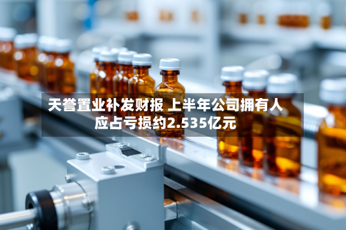 天誉置业补发财报 上半年公司拥有人应占亏损约2.535亿元-第2张图片