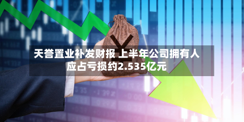天誉置业补发财报 上半年公司拥有人应占亏损约2.535亿元-第3张图片