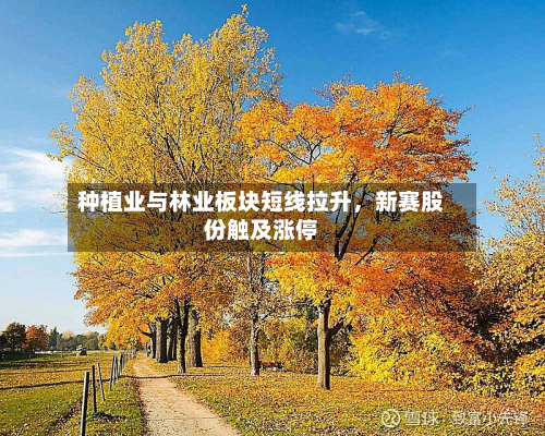 种植业与林业板块短线拉升，新赛股份触及涨停-第1张图片