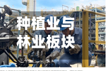 种植业与林业板块短线拉升	，新赛股份触及涨停-第2张图片