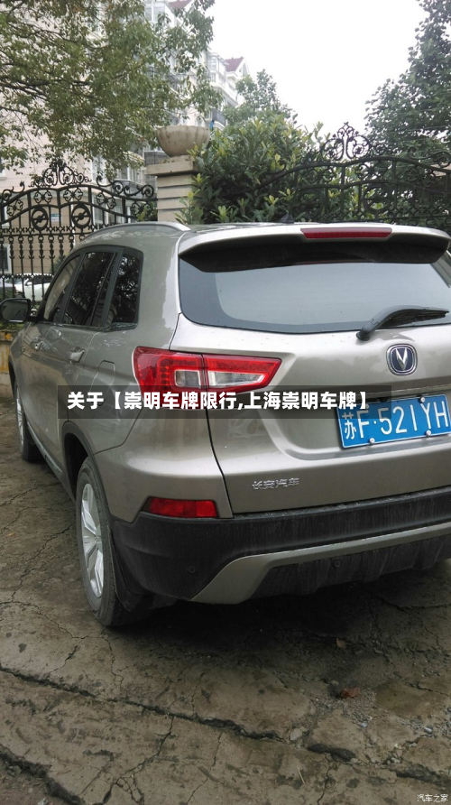 关于【崇明车牌限行,上海崇明车牌】-第2张图片