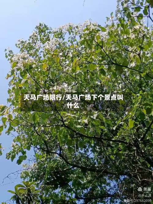 天马广场限行/天马广场下个景点叫什么-第1张图片