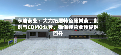 亨迪药业：大力拓展特色原料药、制剂与CDMO业务，确保经营业绩稳健回升-第1张图片