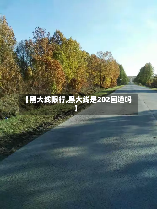 【黑大线限行,黑大线是202国道吗】-第2张图片