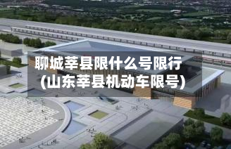 聊城莘县限什么号限行(山东莘县机动车限号)-第2张图片
