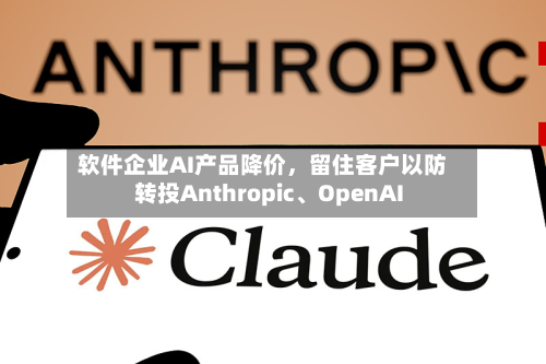 软件企业AI产品降价，留住客户以防转投Anthropic、OpenAI-第2张图片