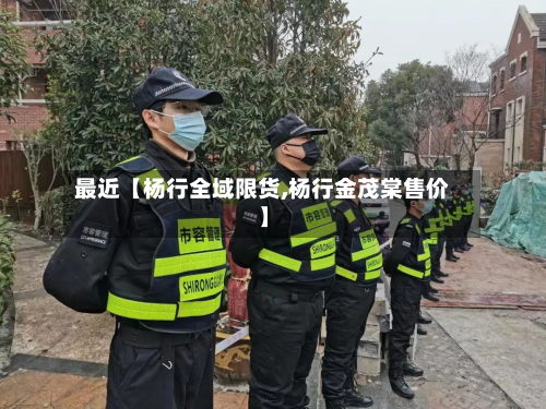 最近【杨行全域限货,杨行金茂棠售价】-第1张图片