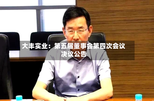 大丰实业：第五届董事会第四次会议决议公告-第1张图片