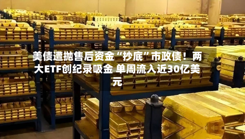 美债遭抛售后资金“抄底”市政债！两大ETF创纪录吸金 单周流入近30亿美元-第2张图片
