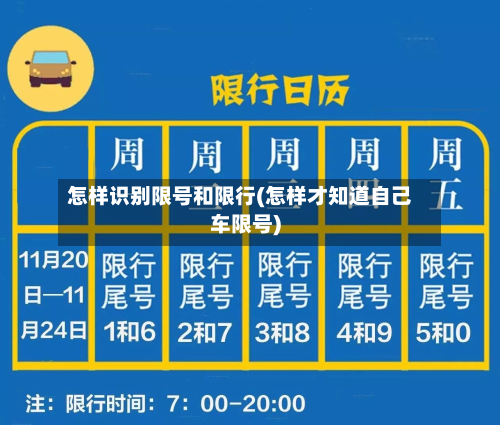 怎样识别限号和限行(怎样才知道自己车限号)-第2张图片