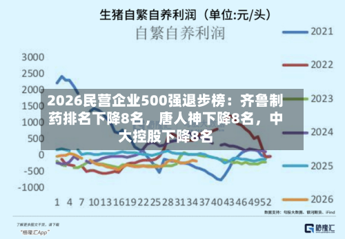 2026民营企业500强退步榜：齐鲁制药排名下降8名，唐人神下降8名，中大控股下降8名-第2张图片
