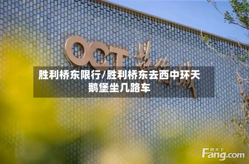 胜利桥东限行/胜利桥东去西中环天鹅堡坐几路车-第1张图片