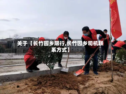 关于【长竹园乡限行,长竹园乡司机联系方式】-第3张图片