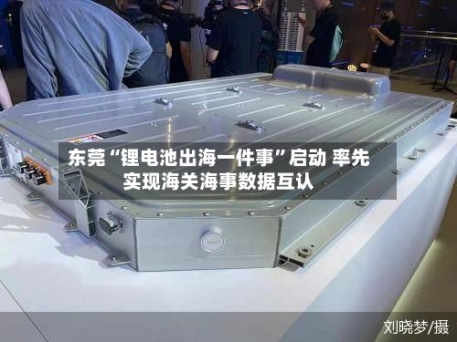 东莞“锂电池出海一件事	”启动 率先实现海关海事数据互认-第1张图片