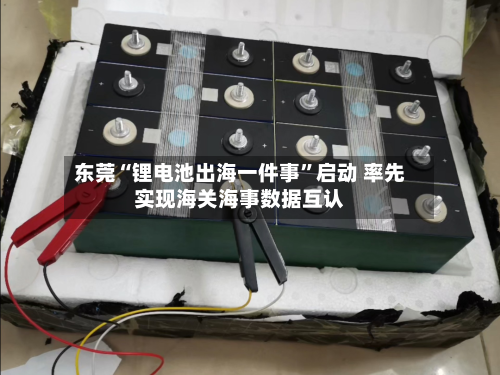 东莞“锂电池出海一件事”启动 率先实现海关海事数据互认-第2张图片