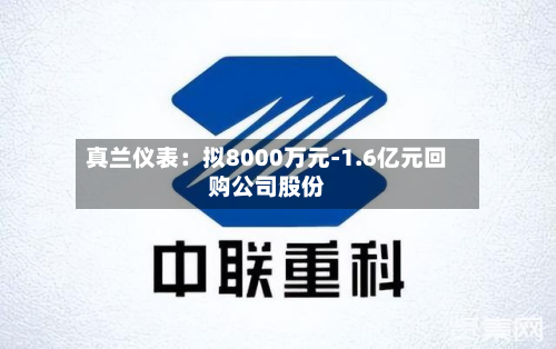 真兰仪表：拟8000万元-1.6亿元回购公司股份-第3张图片